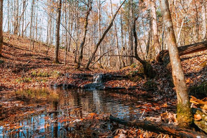 Dry Branch State Park scenic view